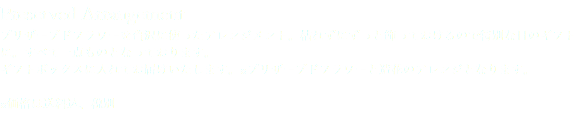 Preserved Arrangement プリザーブドフラワーを贅沢に使ったアレンジメント。枯れずにずっと飾っておけるので特別な日のギフトに。すべて一点ものとなっております。 ギフトボックスに入れてお届けいたします。※プリザーブドフラワーと造花のアレンジとなります。 ※価格は送料込、税別